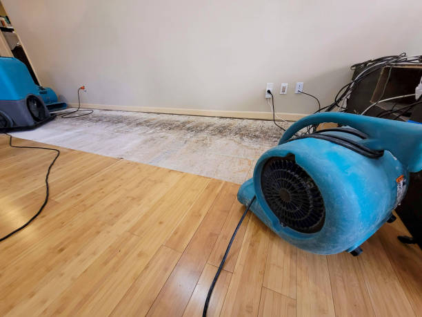 Professional Ceiling Water Damage Repair technician working in Sanford, MI